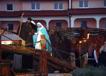 800DSC08780.jpg