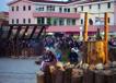800DSC08788.jpg