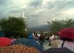 800P0011683.jpg