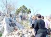 800DSC01196.jpg