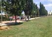 img1191s.jpg