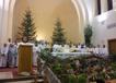 bozicnacestitka2014.jpg