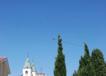 800DSC_0099.jpg