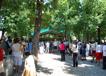 800DSC_0200.jpg