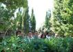 800DSC_0211.jpg