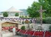 800DSC01557.jpg