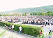 800DSC01634.jpg