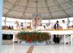 800DSCF0519.jpg