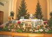 800DSCF0955.jpg