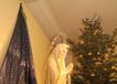 800PIC00046.jpg