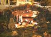 800PIC00048-j.jpg
