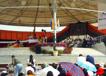 600DSC09399.jpg