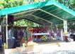 600DSC08975.jpg