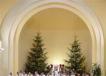 800DSC08871.jpg