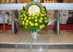 350DSC07826.jpg