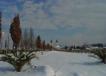 100DSC07178.jpg