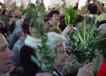 800DSC09346.jpg