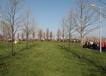 800IMG_9588.jpg