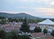 800DSC_9944.jpg