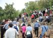 800DSC_3943.jpg