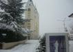 P1010785.jpg