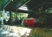 P0012677-1.jpg
